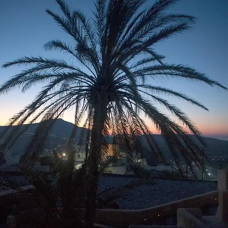 The Palm Tree Holiday home *