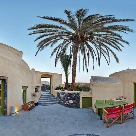 The Palm Tree *